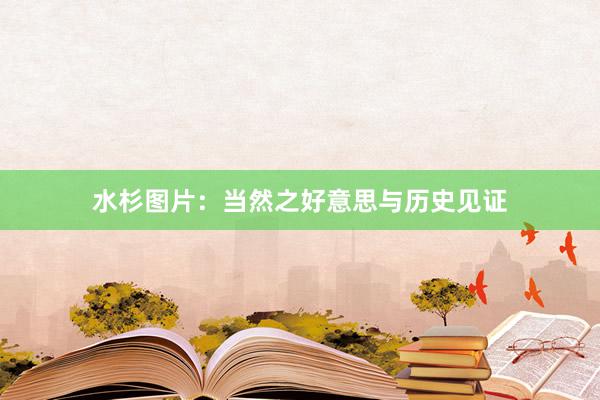 水杉图片：当然之好意思与历史见证